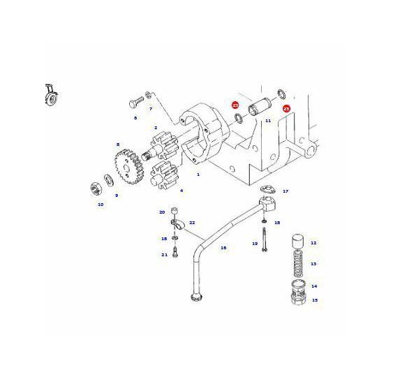 ORING   19.00 * 3.00  AGCO - [CFS101-AGCO]