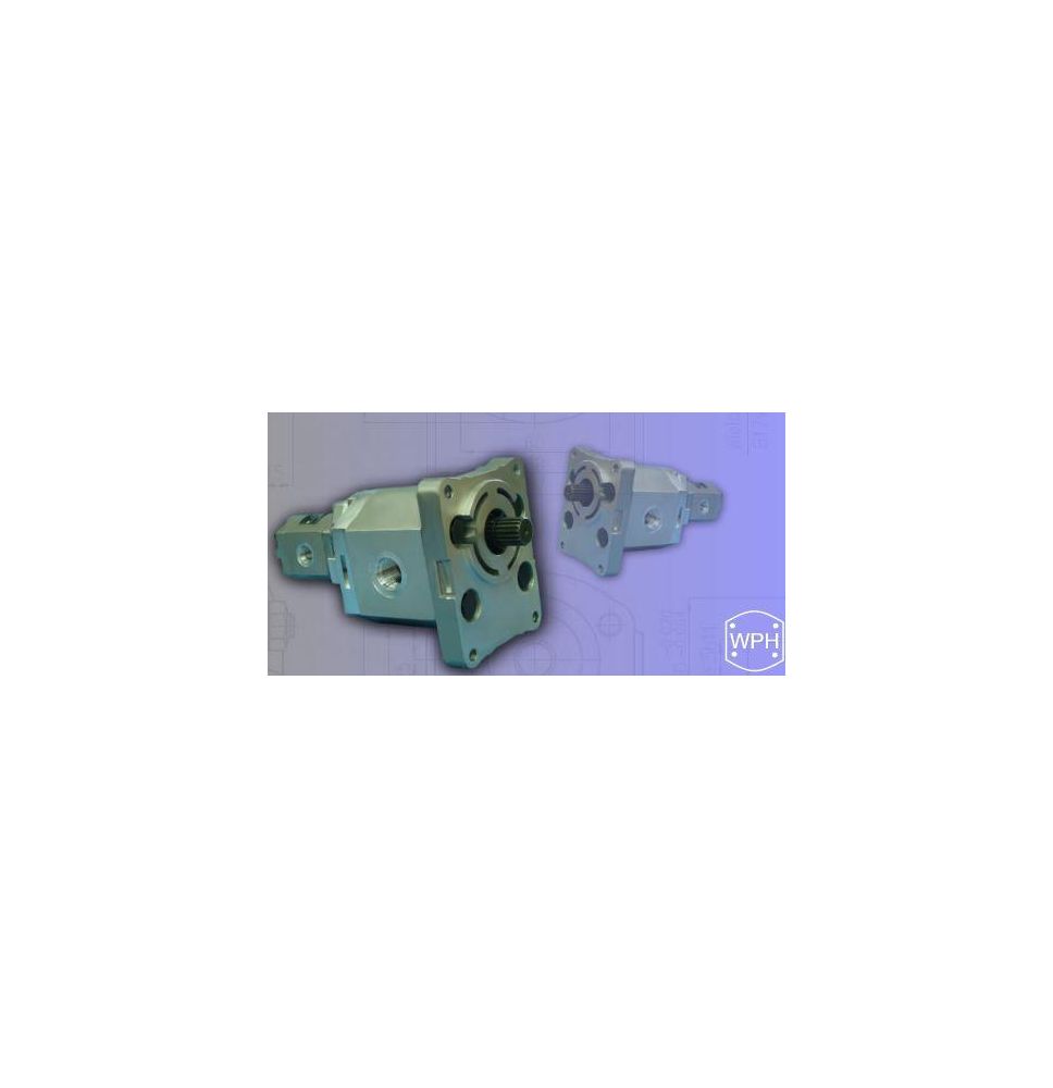 POMPA WPH PZW3-16/20X2,5/20-1 - [HT054-W]