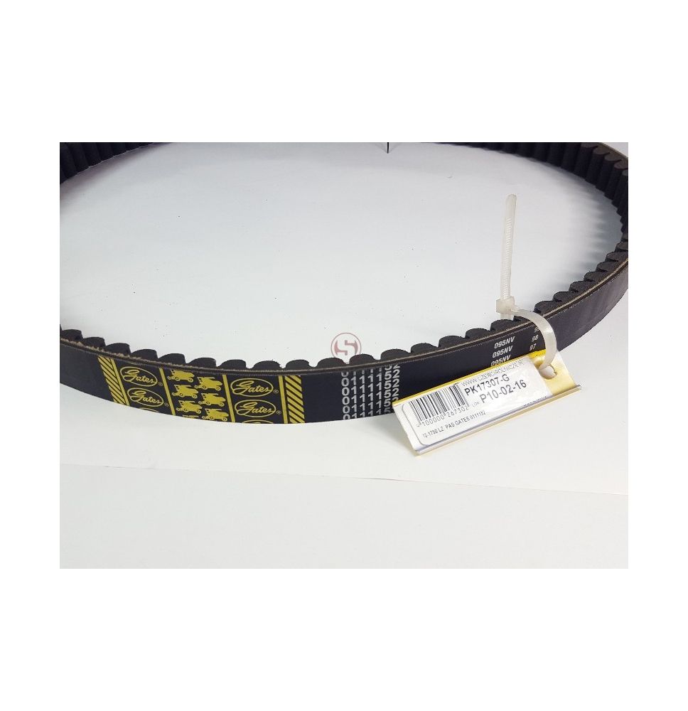 PAS GATES 0111152 [PK17307-G]