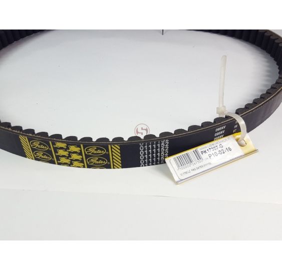PAS GATES 0111152 [PK17307-G]