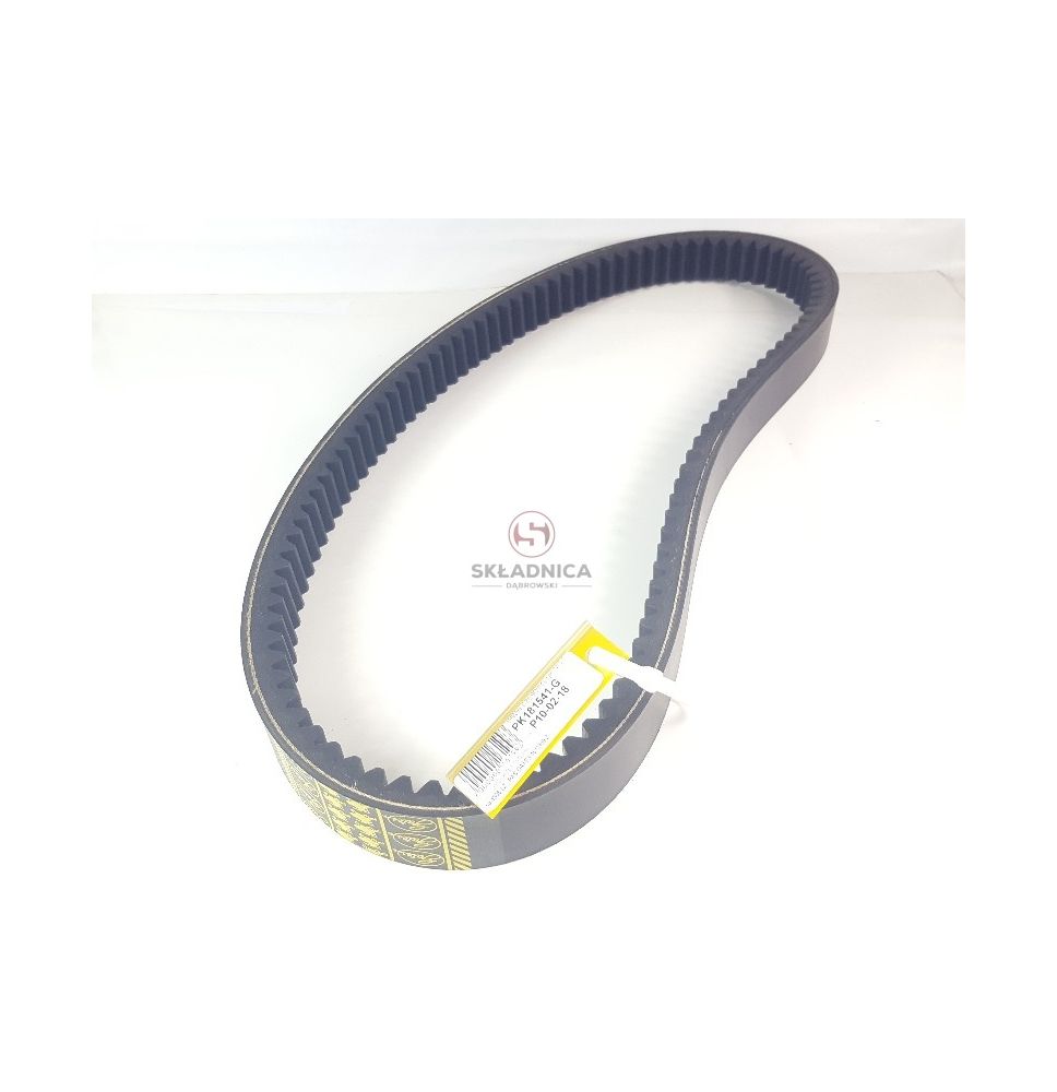 PAS GATES 1613159 [PK181541-G]