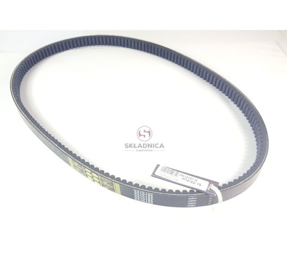 PAS GATES 1541569C1 [PK18157-G]