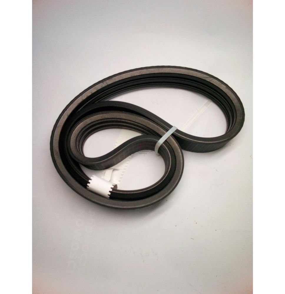3B-1876  PAS OPTIBELT AP1003626 [PK193037-O]