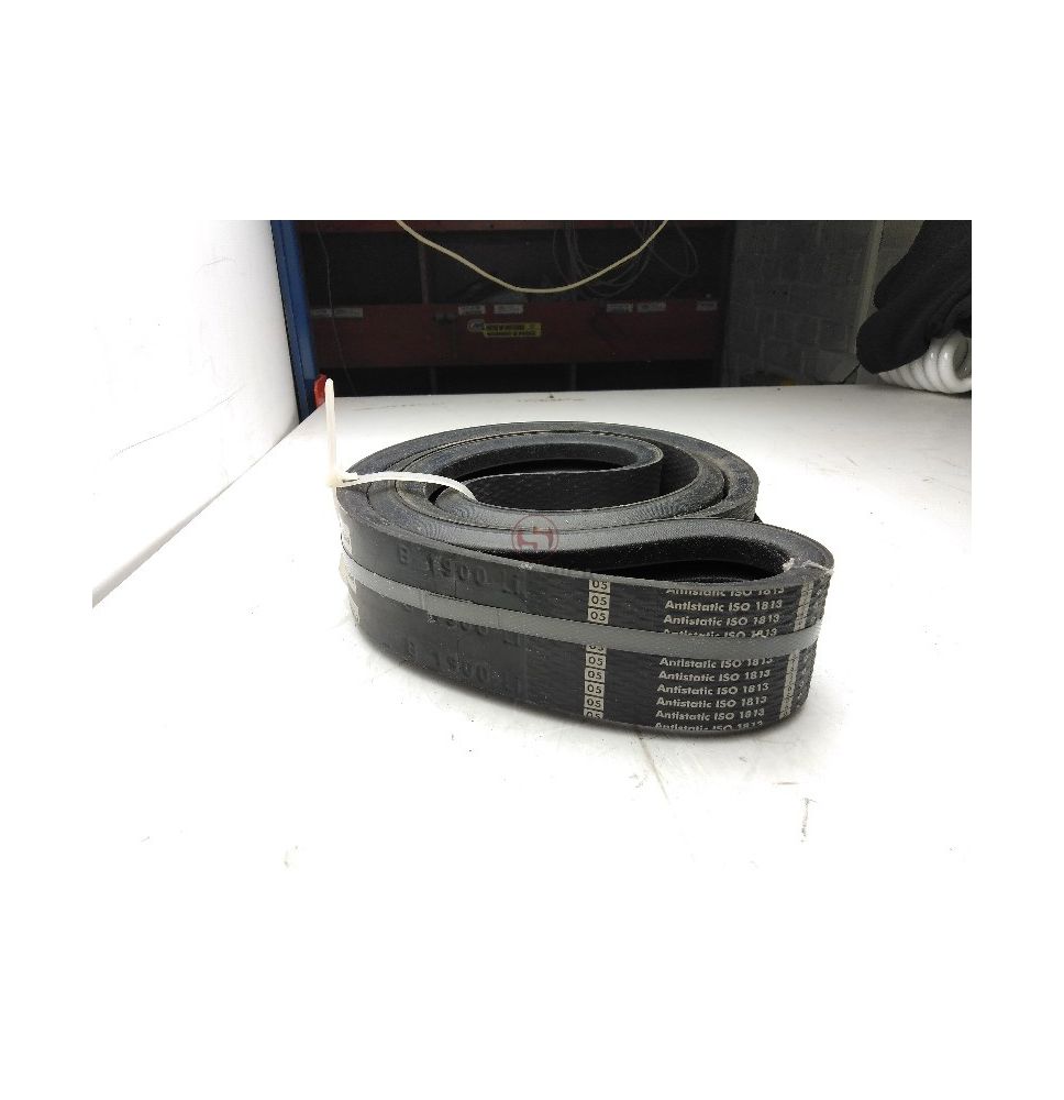 3B-1900  PAS OPTIBELT [PK195537-O]