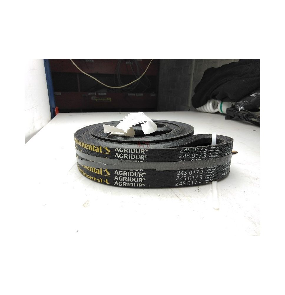PAS CONTI 245173 [PK245037-C]