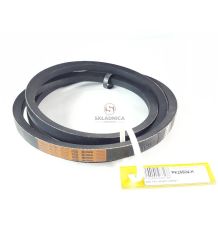 C-2560 PAS HARVEST [PK25604-H]