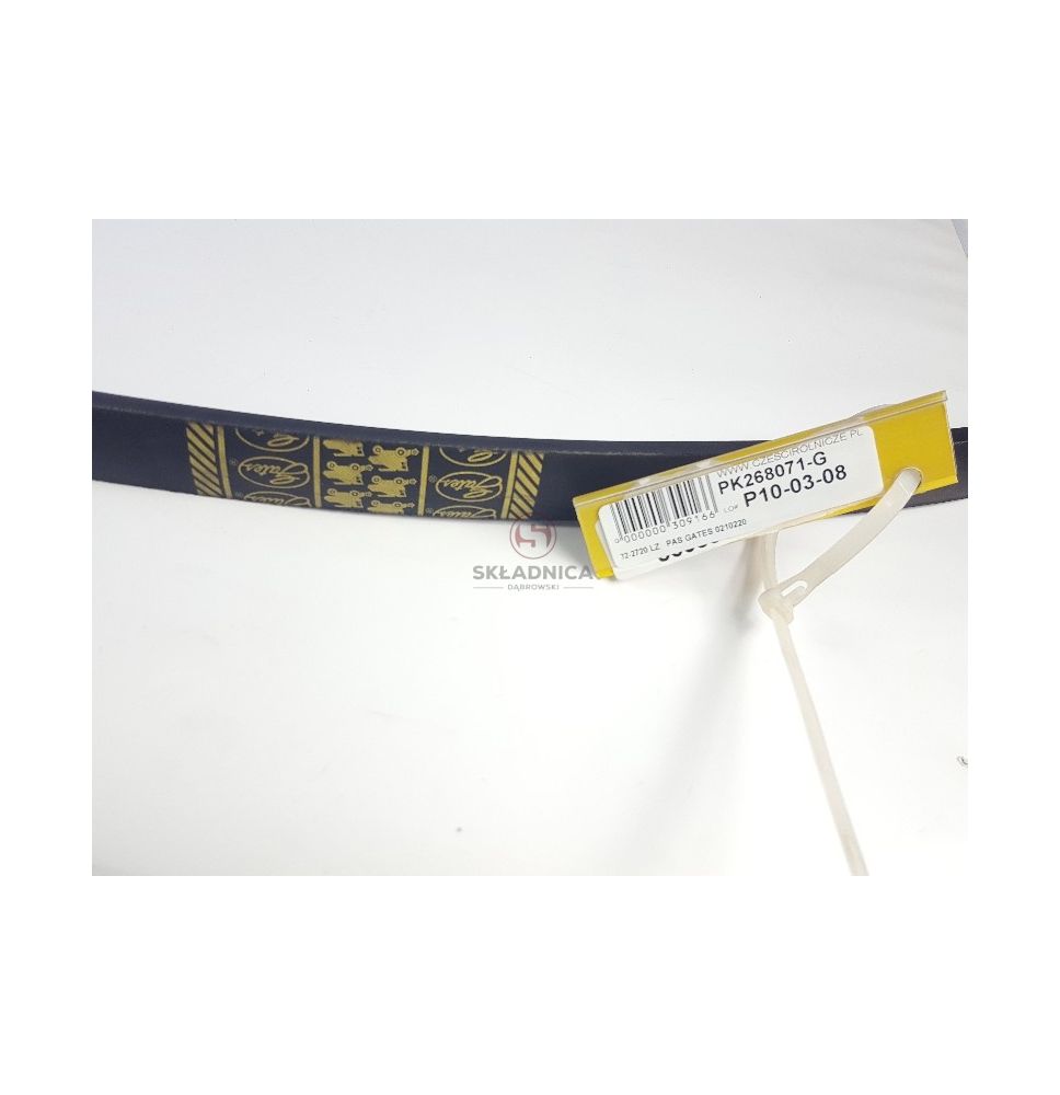 PAS GATES 0210220 [PK268071-G]