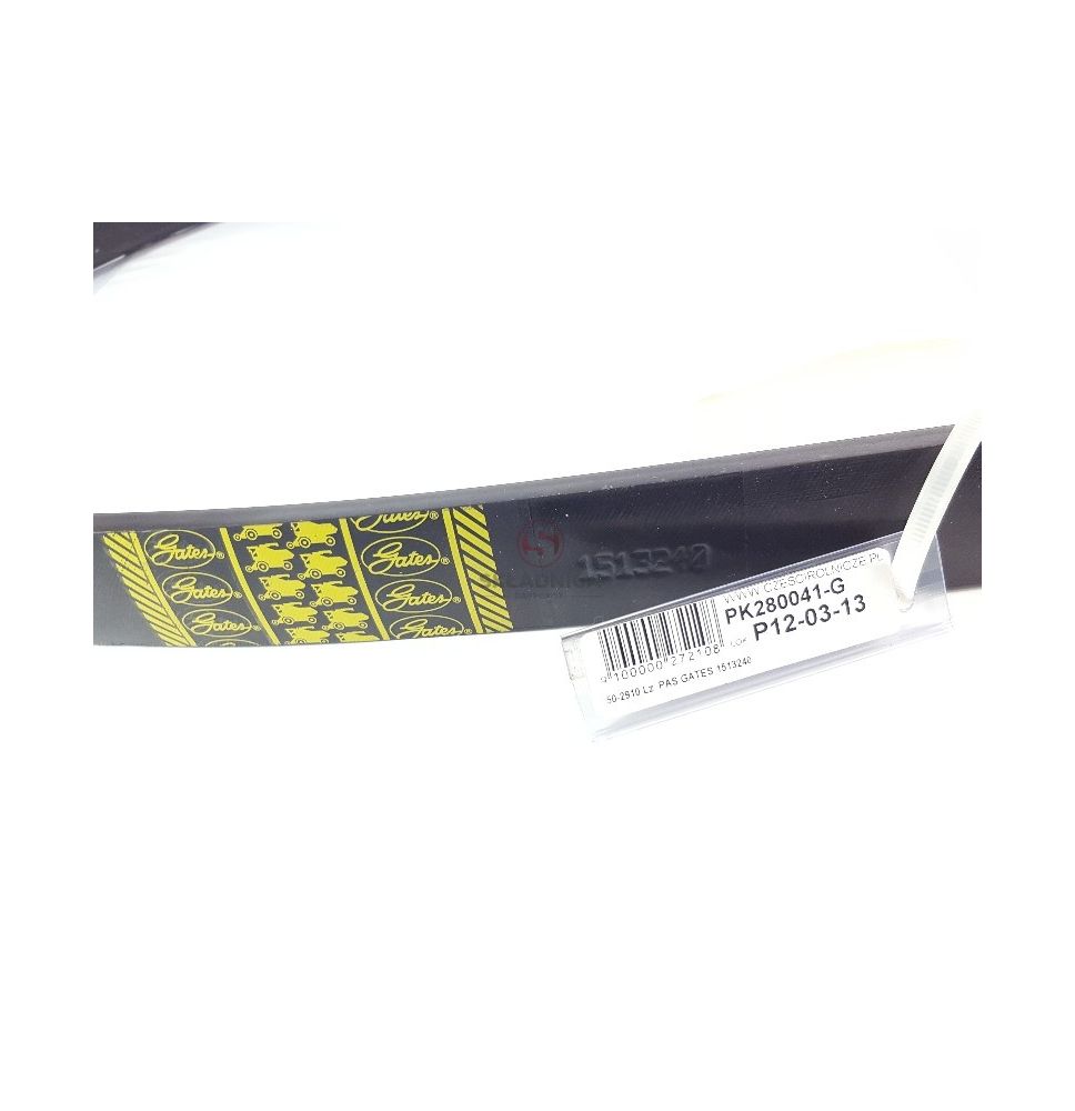 PAS GATES 1513240 [PK280041-G]