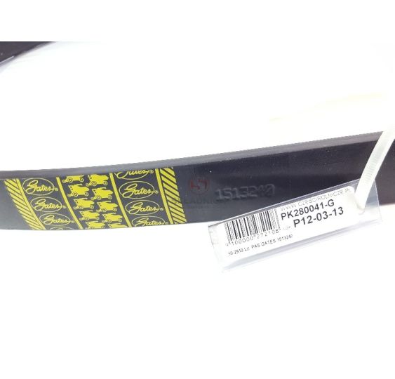 PAS GATES 1513240 [PK280041-G]