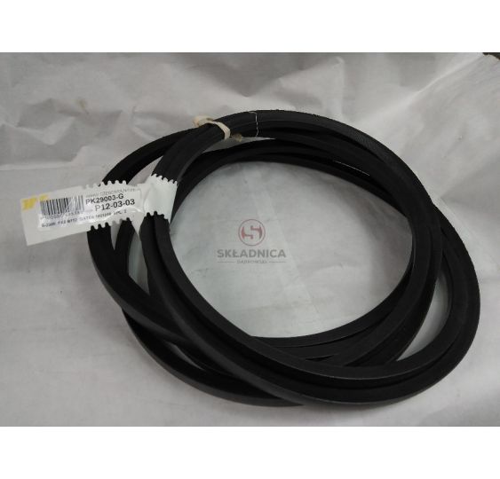 PAS GATES 1601218 [PK29003-G]