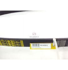 PAS GATES 2612258 [PK314038-G]