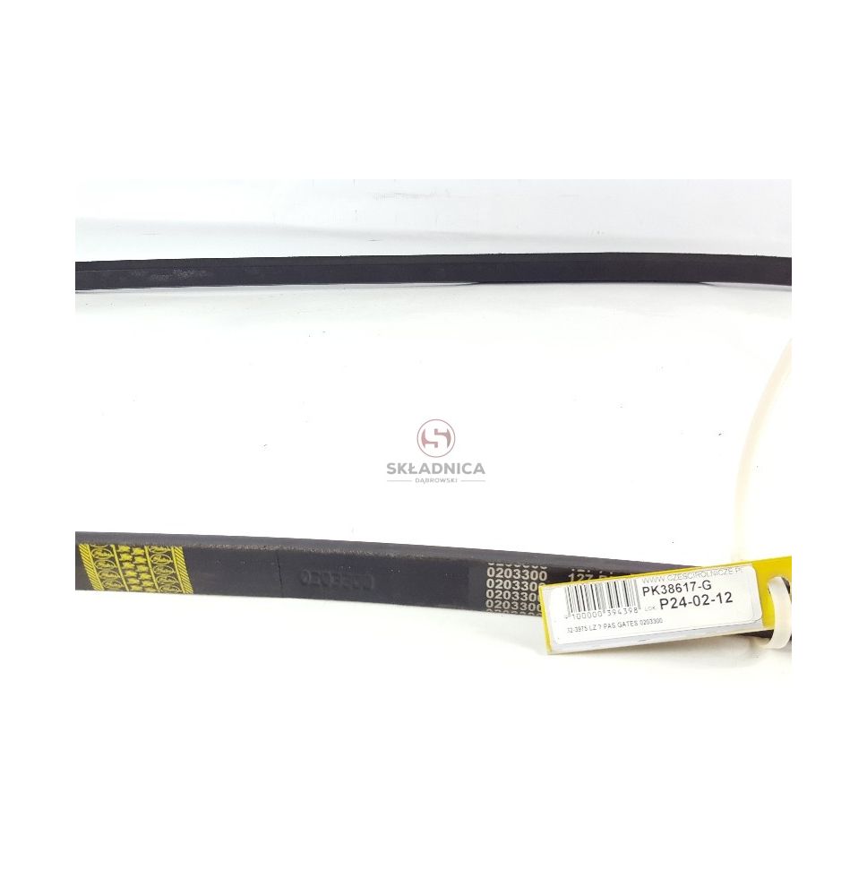 PAS GATES 0203300 [PK393017-G]