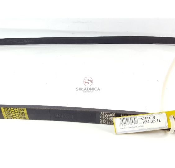 PAS GATES 0203300 [PK393017-G]