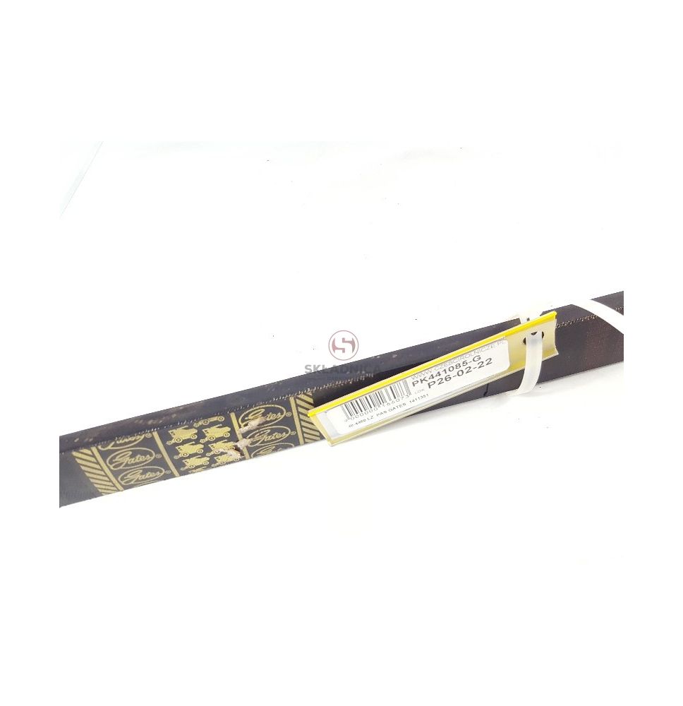 PAS GATES 1411351 [PK441085-G]