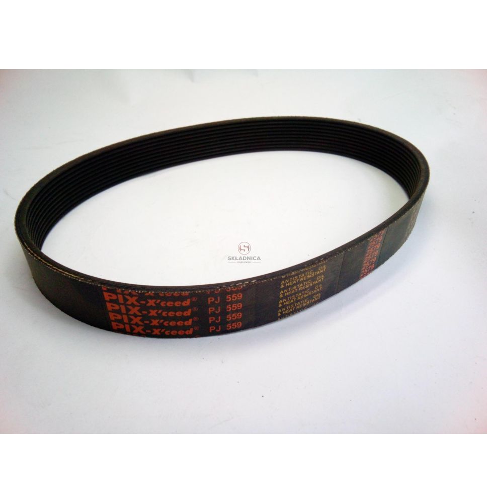 PAS WIELOROWKOWY PJ   559 MM  Z-10 [PKW055910-P]