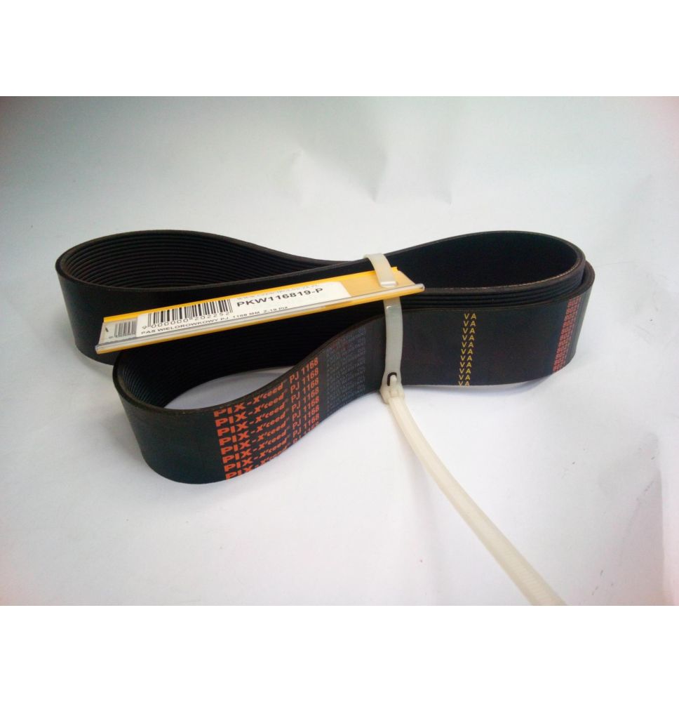 PAS WIELOROWKOWY PJ  1168 MM  Z-19 [PKW116819-P]