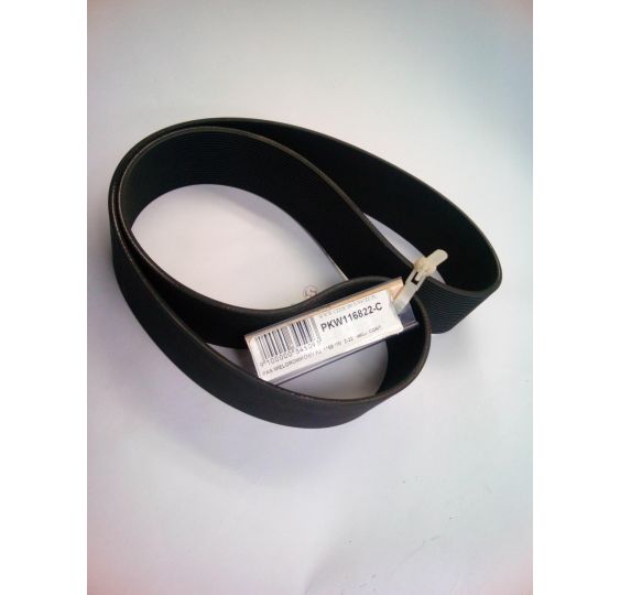 PAS WIELOROWKOWY PJ  1168 MM Z-22 [PKW116822-C]