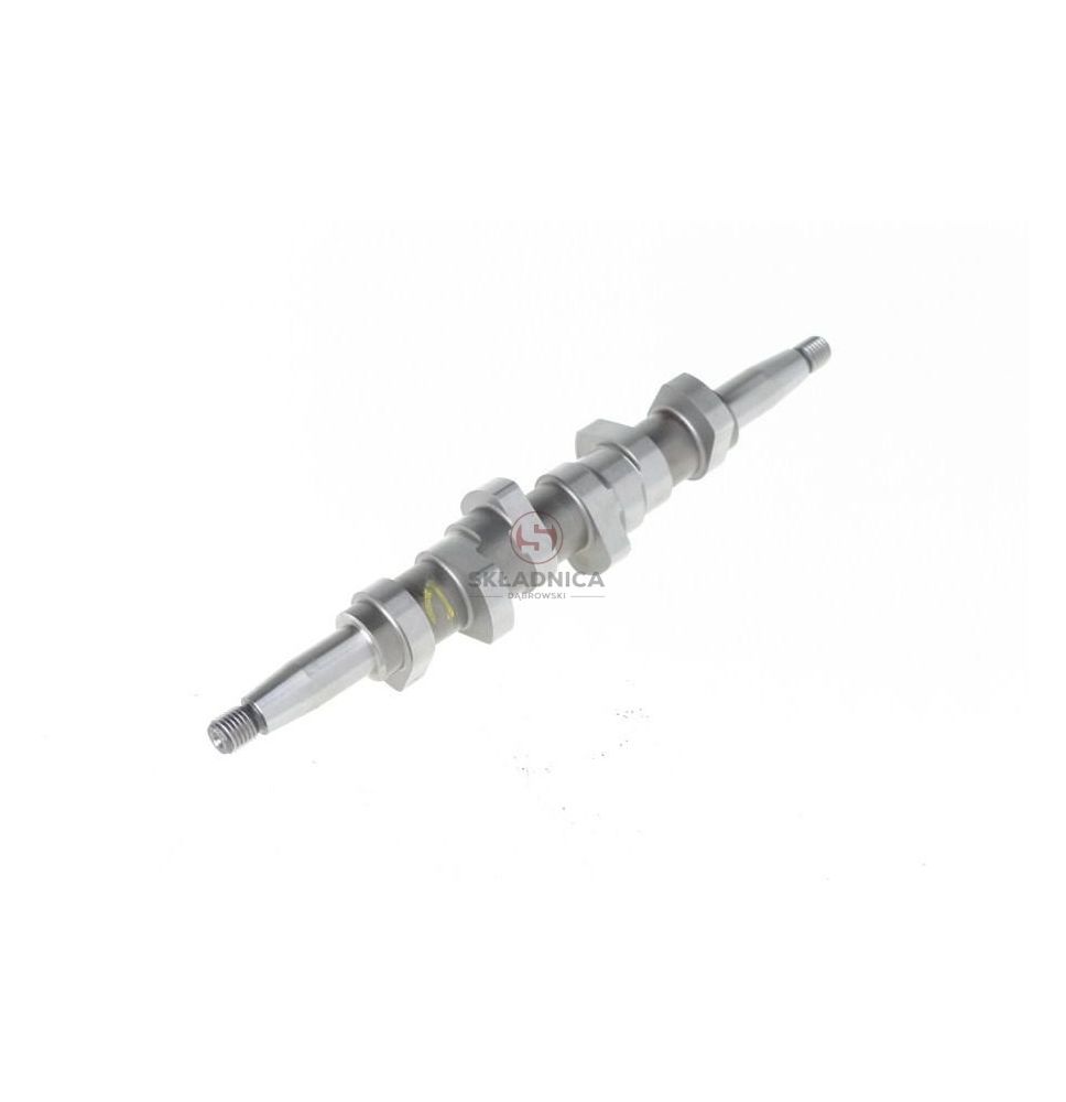 WAŁEK KRZYWK. 6-CYL. 20019-59 [UD007063]