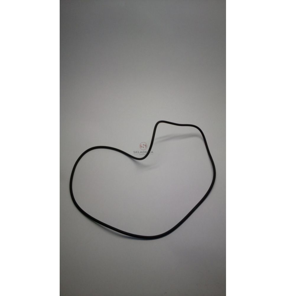 ORING  255.00 * 4.00 [CYA459]