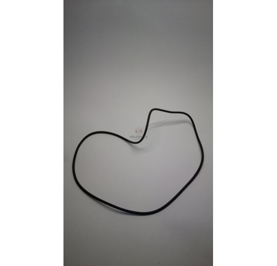 ORING  255.00 * 4.00 [CYA459]