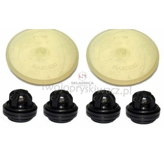 ZESTAW NAPRAWCZY POMPY P-120 BRIADZKI [OPP01-0002]