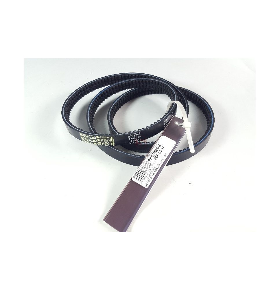 PAS GATES 2786296 [PK180010-G]