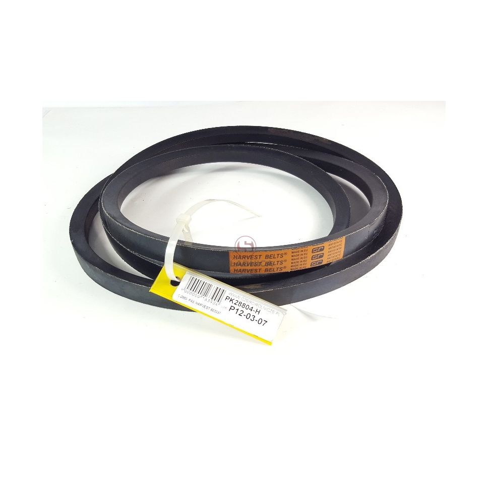 C-2880  PAS HARVEST 603337 [PK28804-H]