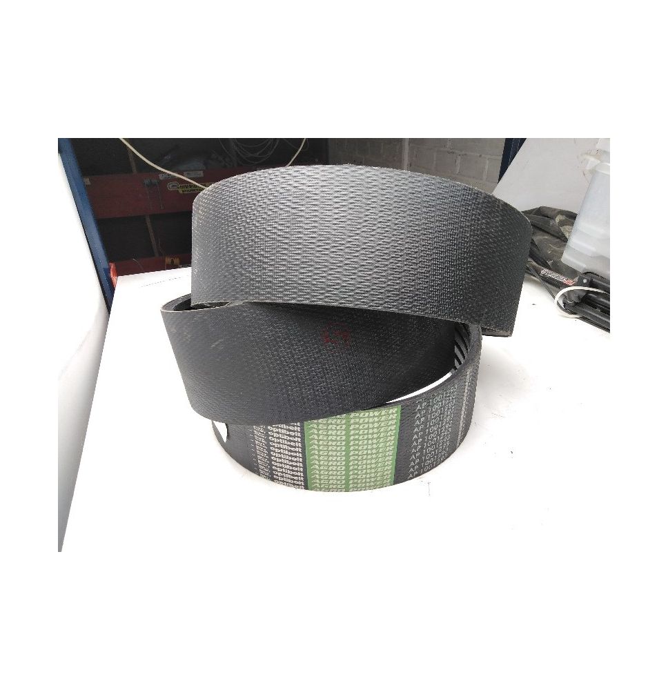PAS OPTIBELT AP1001293 [PK292040-O]
