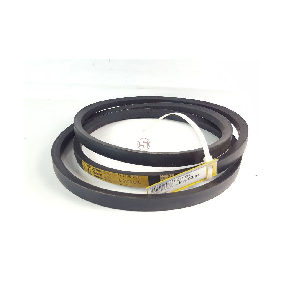C-3100   PAS SANOK [PK31004]
