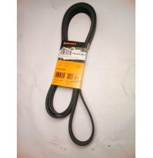 PAS 2523  Z- 8  CONTI [PKK252308-C]