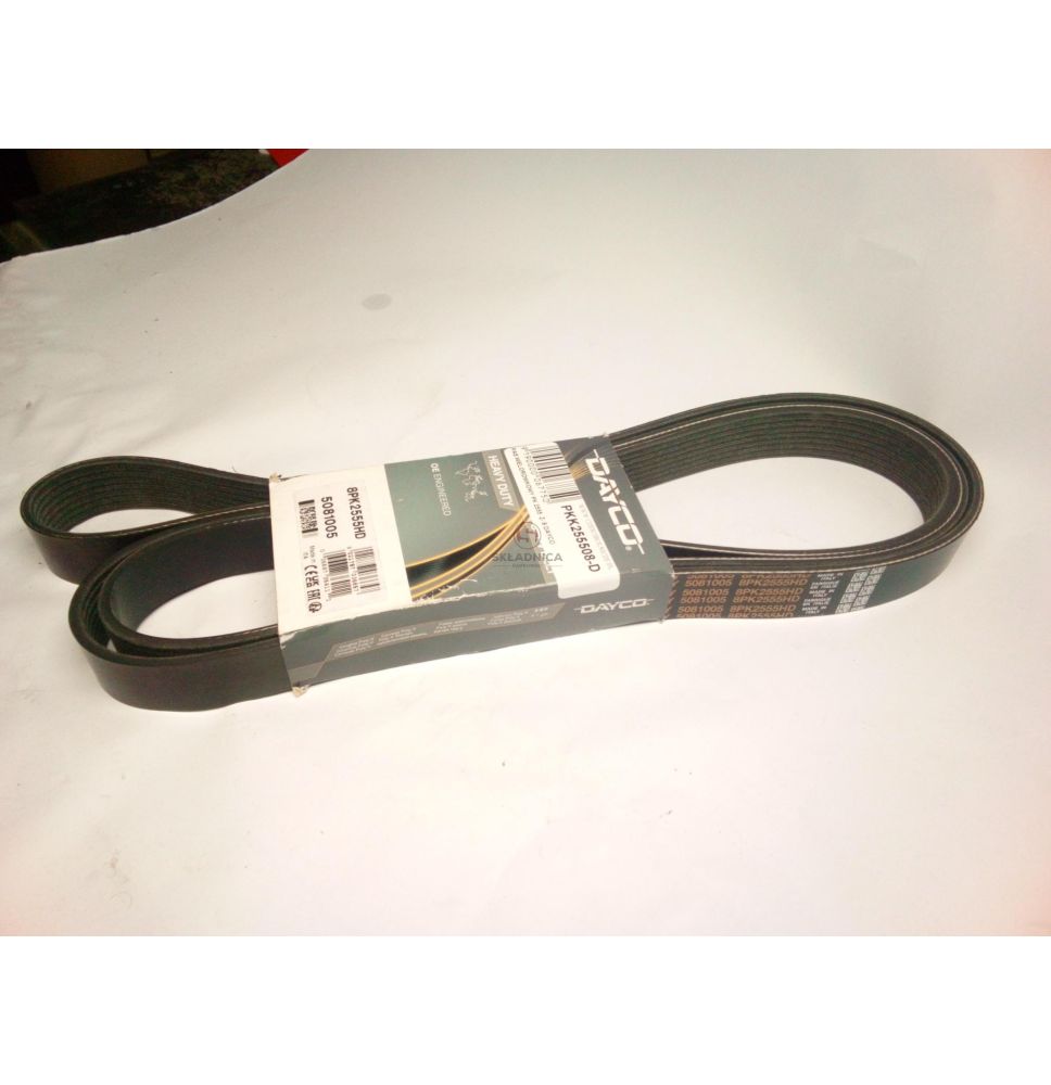 PAS WIELOROWKOWY PK 2555  Z- 8 DAYCO [PKK255508-D]