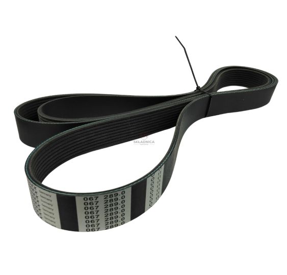 PAS TAGEX 067289,0 [PKK286009-T]