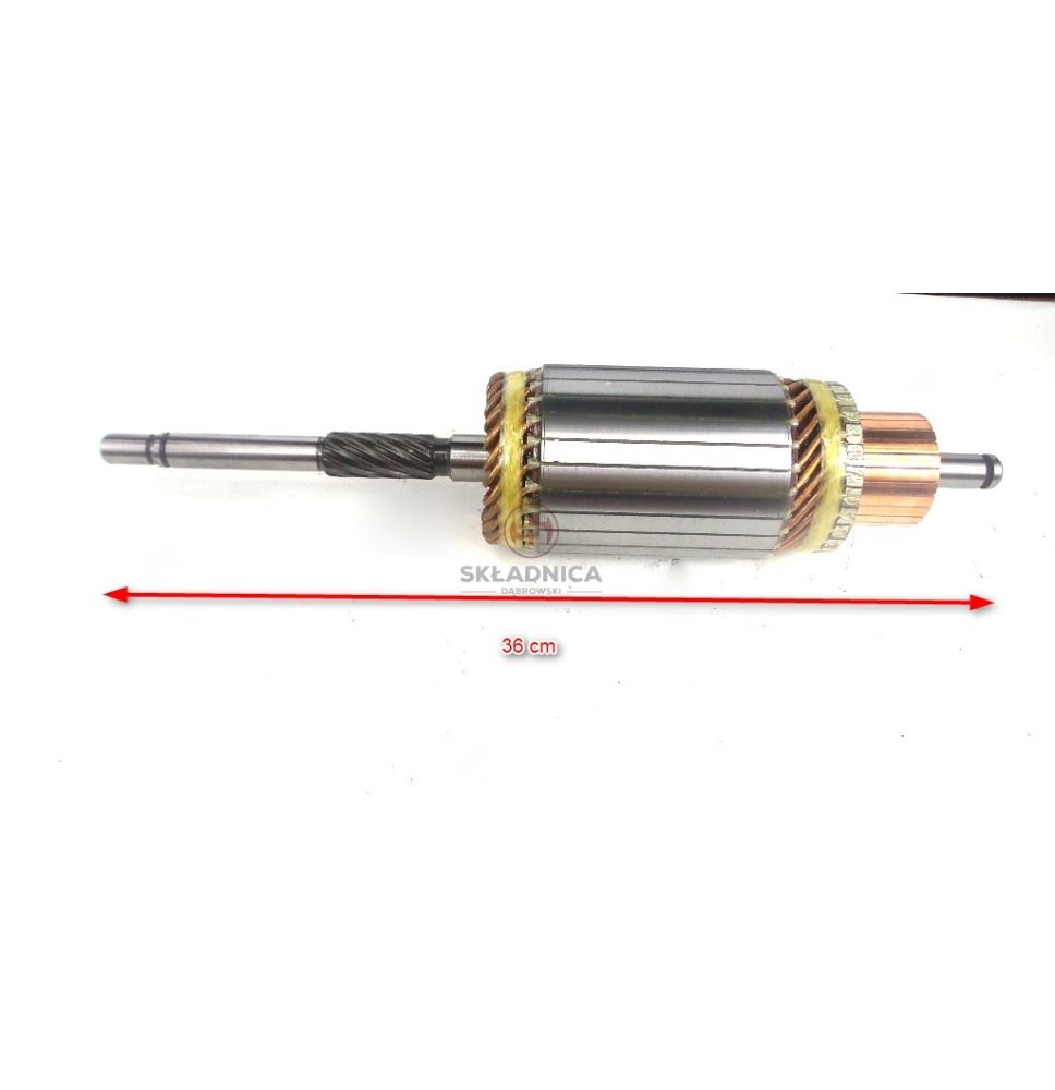 WIRNIK ROZRUSZNIKA R10 24V [BH2106]