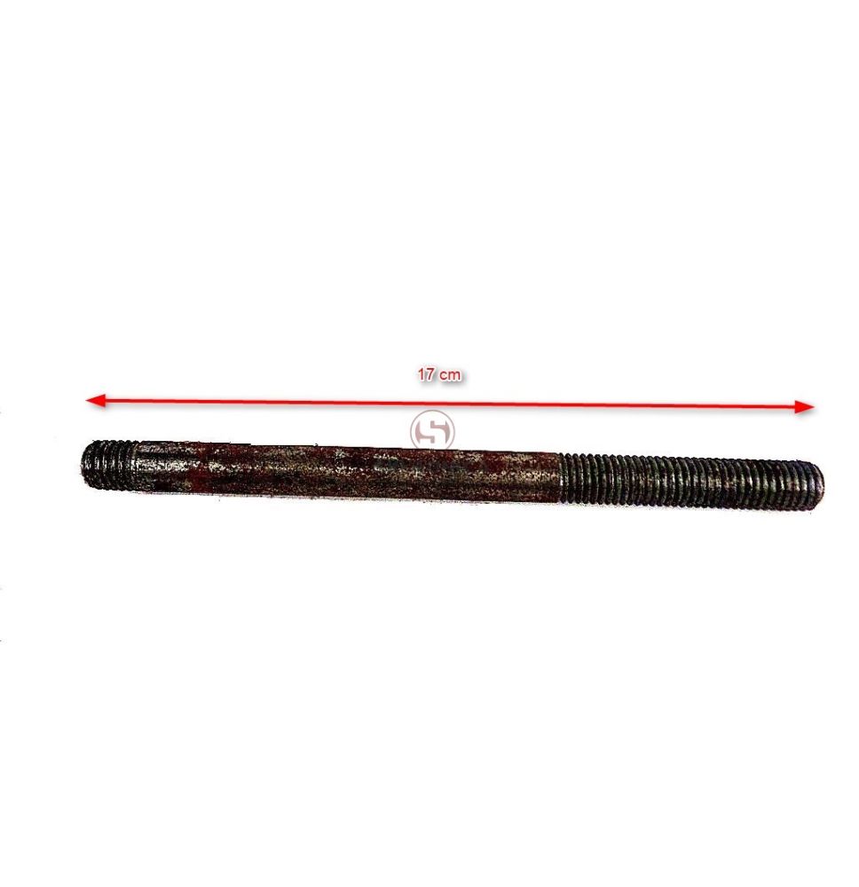 ŚRUBA DWUSTRONNA [BI30319]