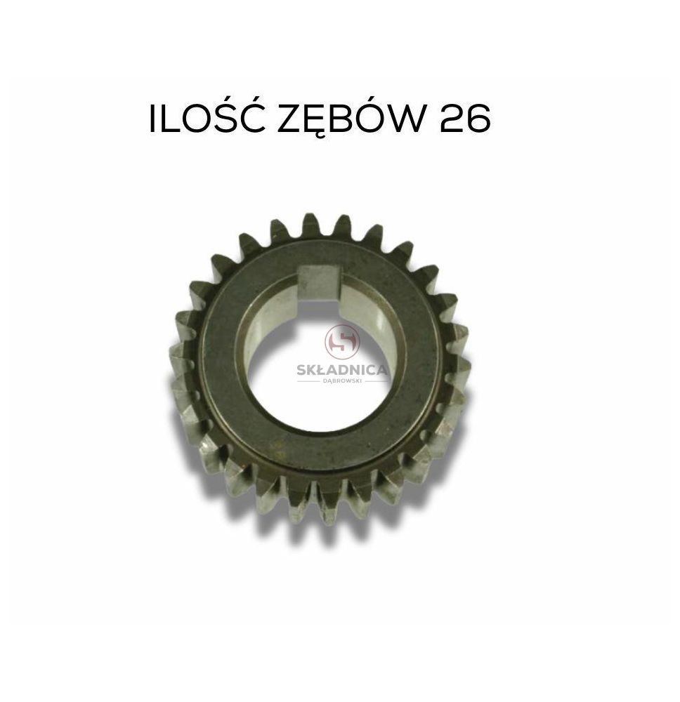KOŁO ZĘATE Z-26 M 2,5 [BN269]