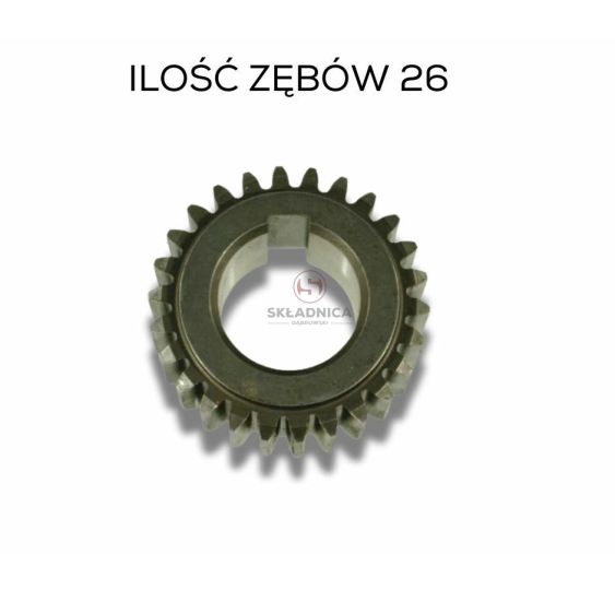 KOŁO ZĘATE Z-26 M 2,5 [BN269]