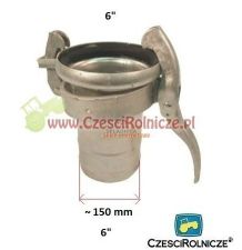 PERROT 6"  ZŁĄCZE  ŻEŃSKIE  -      WĄŻ6 [BNA602]