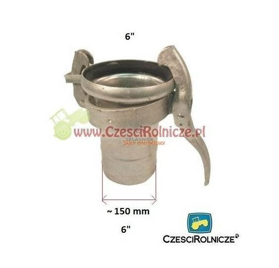 PERROT 6"  ZŁĄCZE  ŻEŃSKIE  -      WĄŻ6 [BNA602]