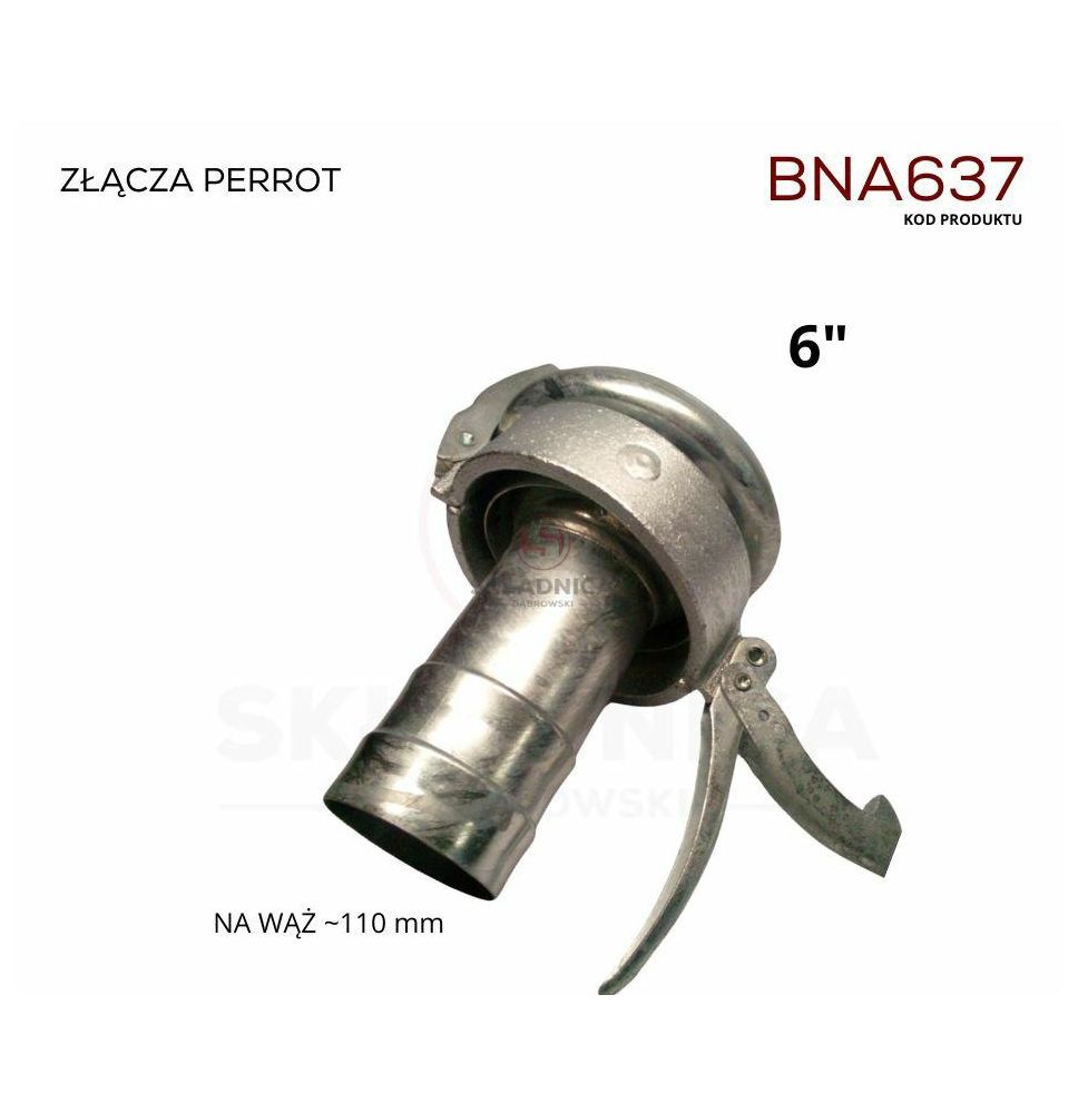 PERROT 6"  ZŁĄCZE  ŻEŃSKIE  -  WĄŻ  POLS [BNA637]