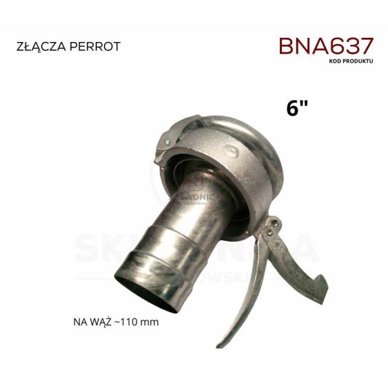 PERROT 6"  ZŁĄCZE  ŻEŃSKIE  -  WĄŻ  POLS [BNA637]