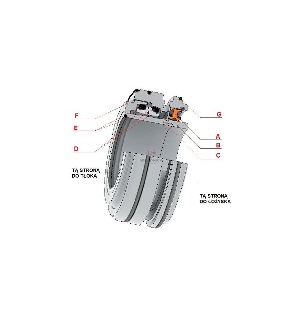 ORING  144.00 * 3.00 [BNV009]