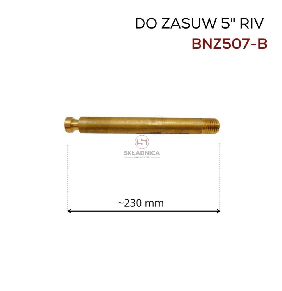 TRZPIEŃ  RIV "5" [BNZ507-B]
