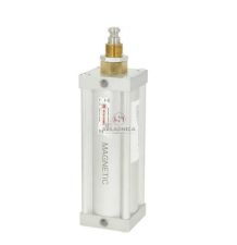 SIŁOWNIK DO ZASUWY 6" PNEUMATYCZNY +     [BNZ600-P-M]