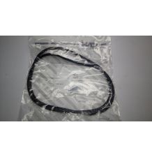 ORING 11.458" - 0.146" [CCD251]