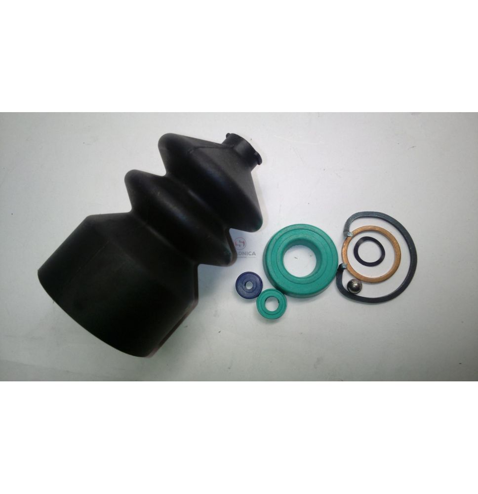 ZESTAW NAPRAWCZY POMPKI HAM.   CASE [CCD302]