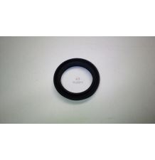 USZCZELNIACZ POMPKI [CCD317-U]