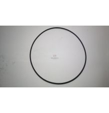 ORING  209 * 3,5 [CCD605]