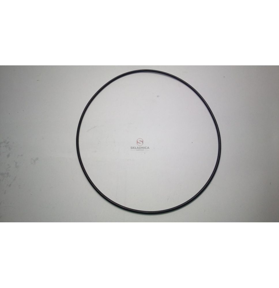 ORING  209 * 3,5 [CCD605]