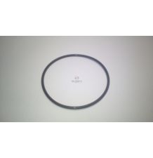 ORING   95.00 * 3.50 [CCH150]