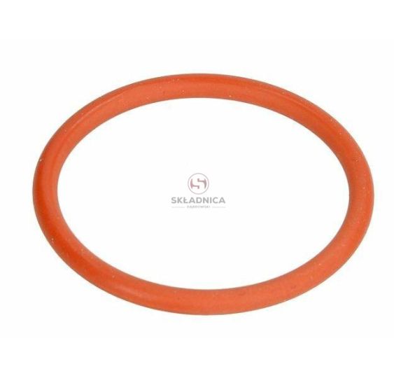 USZCZELNIACZ [CCN055]